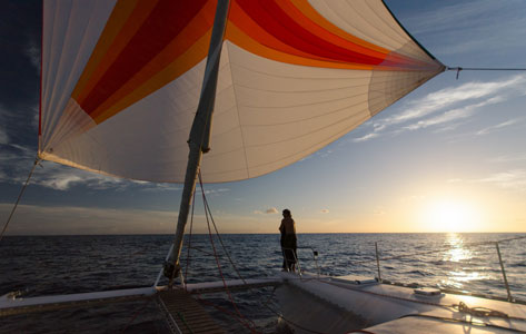 charter catamaran sous spinnaker