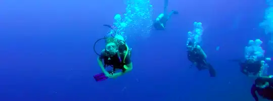 Plongée bouteille dans la passe de Tetamanu